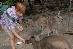 0094 Cairns Tropical Zoo